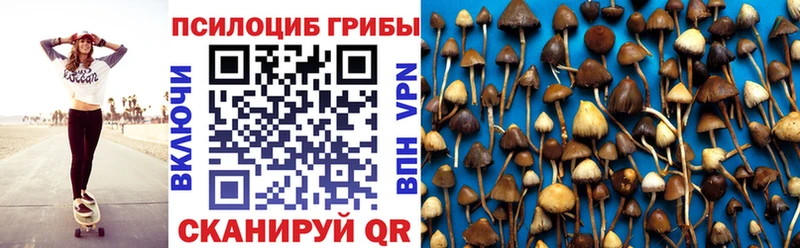 Купить  Белинский  Галлюциногенные грибы GOLDEN TEACHER 
